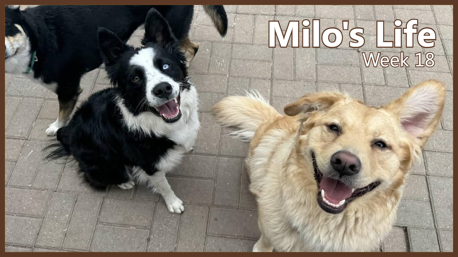 So Many Friends | Week 18