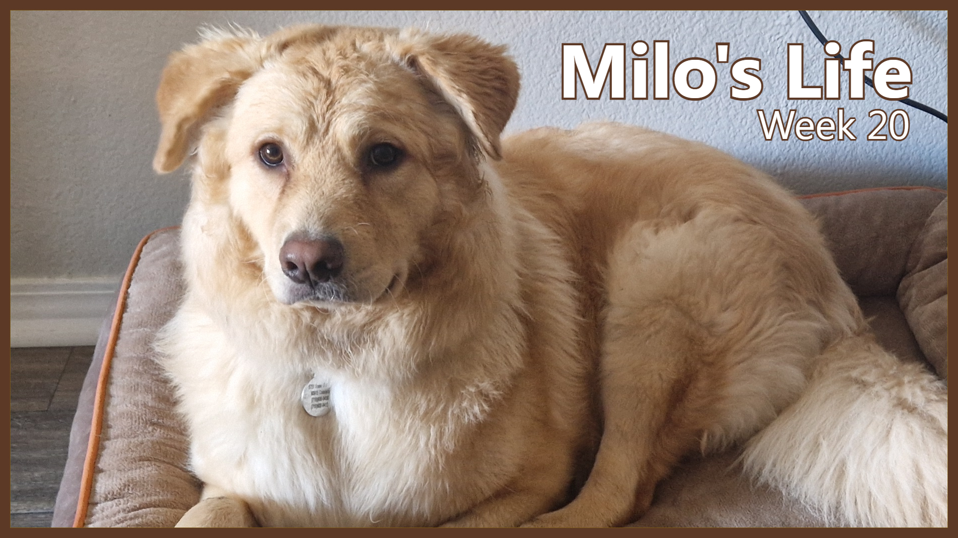 Warning: Slippery Creeks | Week 20