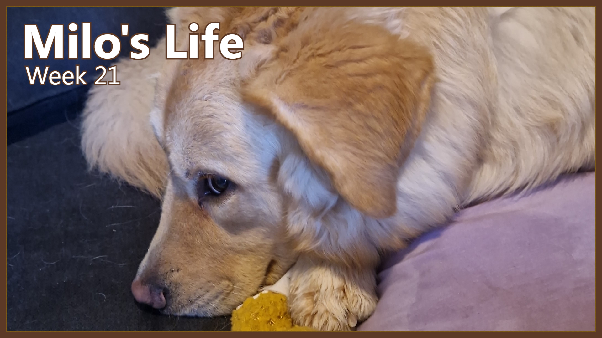 Living The Life | Week 21