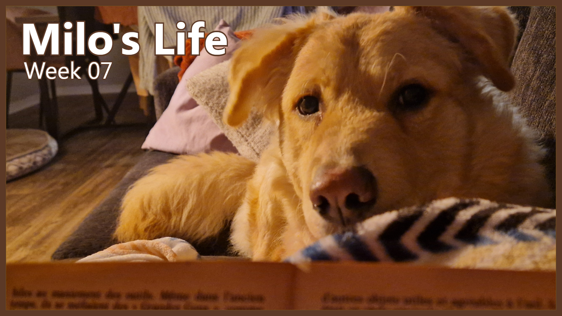 Not-So-Busy Week | Week 07