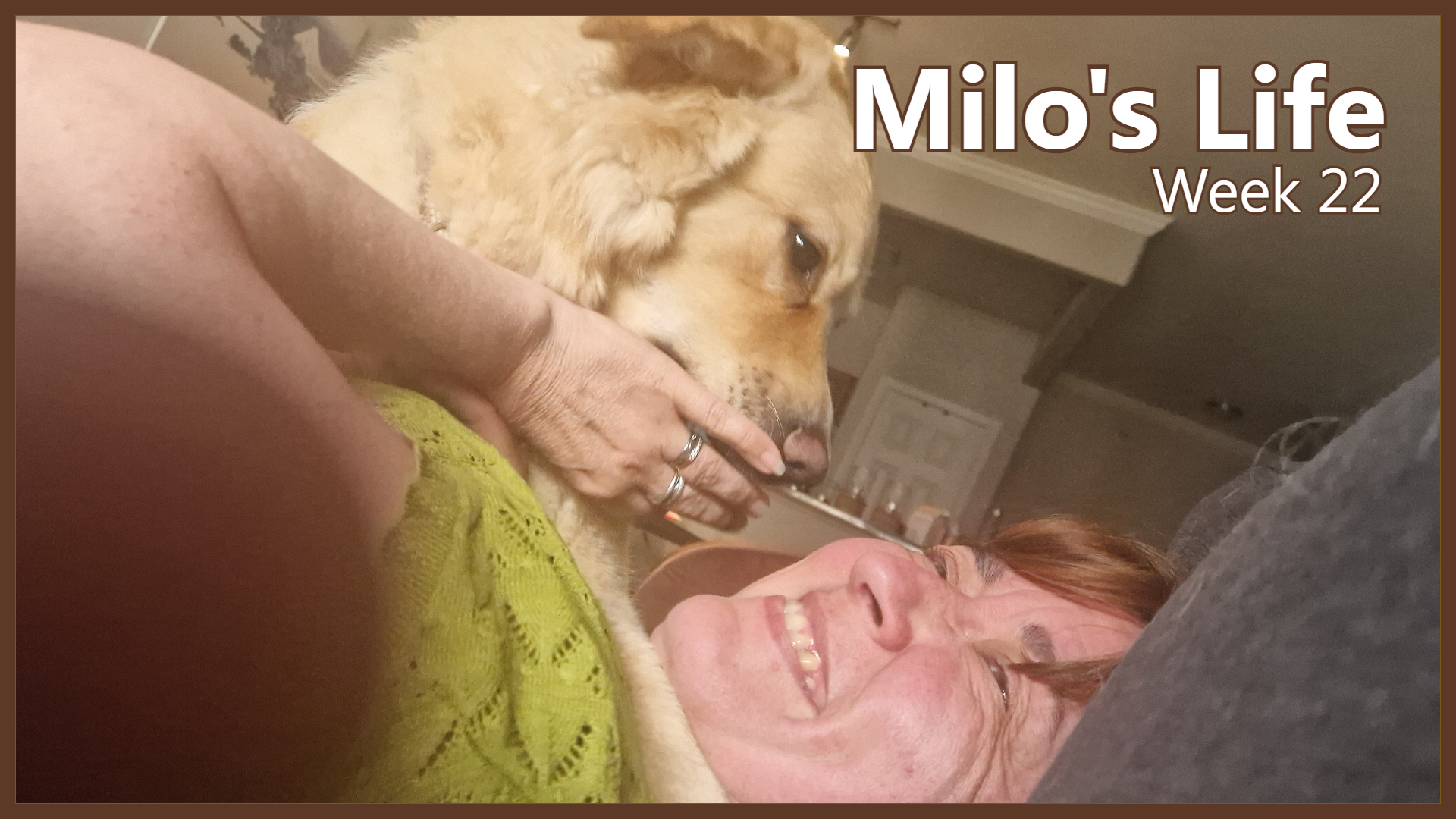 Fun in the Sun | Week 22