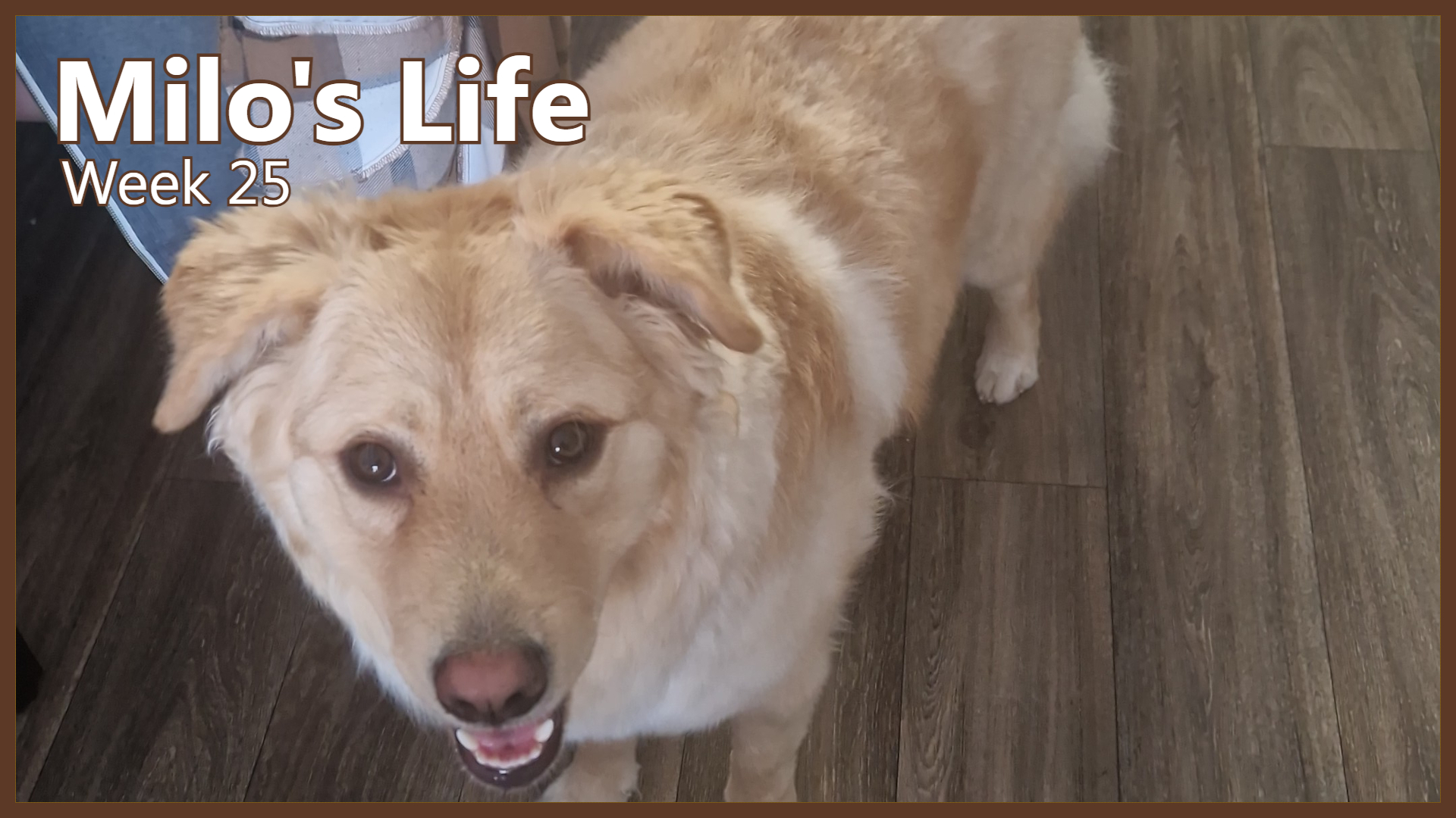 Rivers and Friends | Week 25