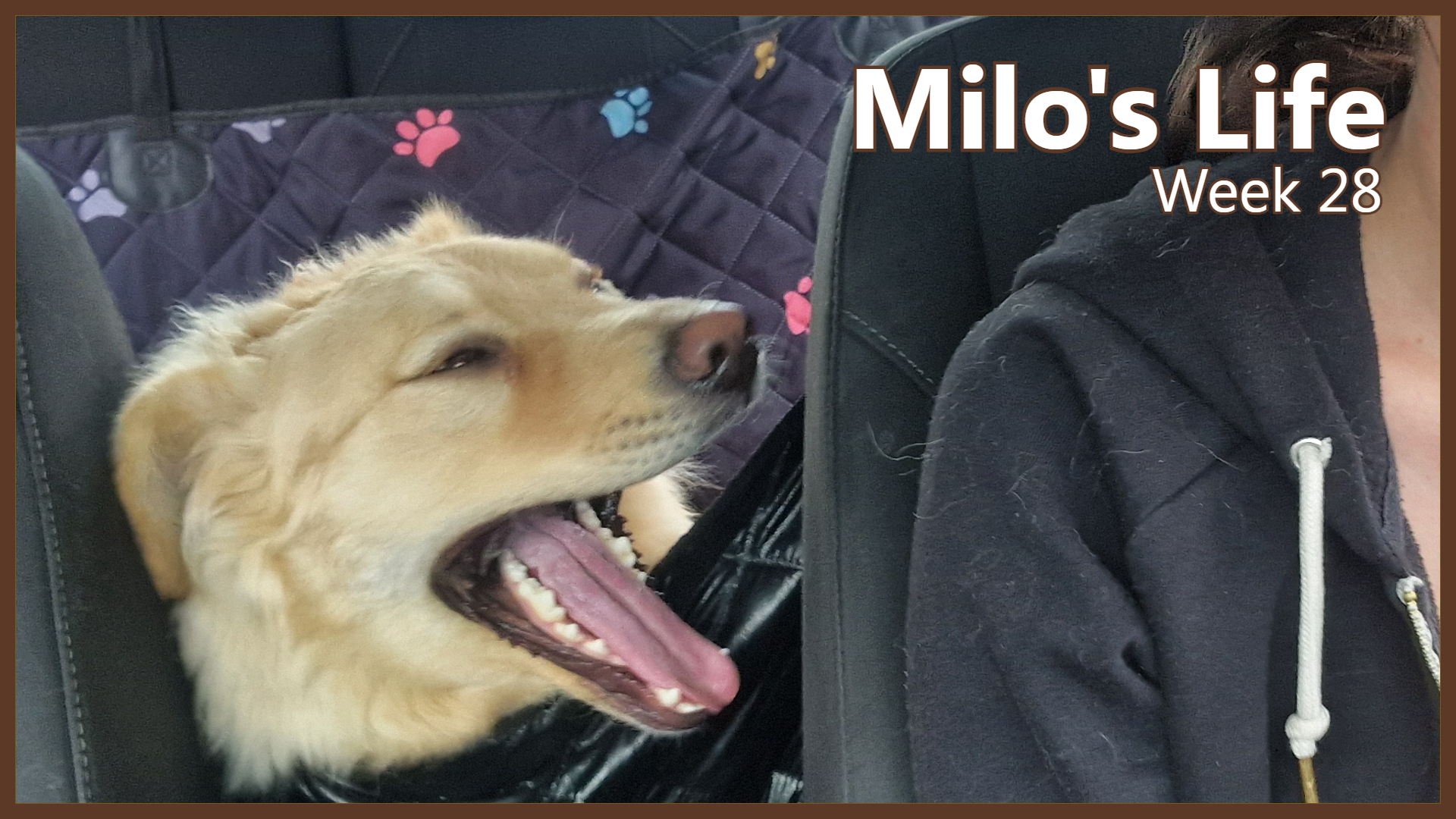 Sunny Days | Week 28