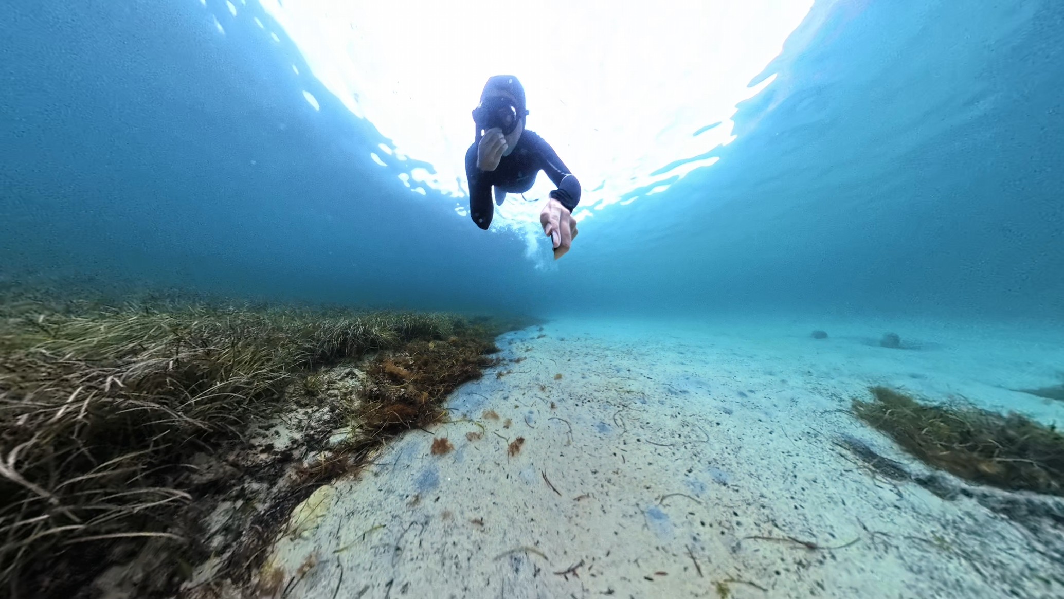 Seagrass Flyover at Second Valley