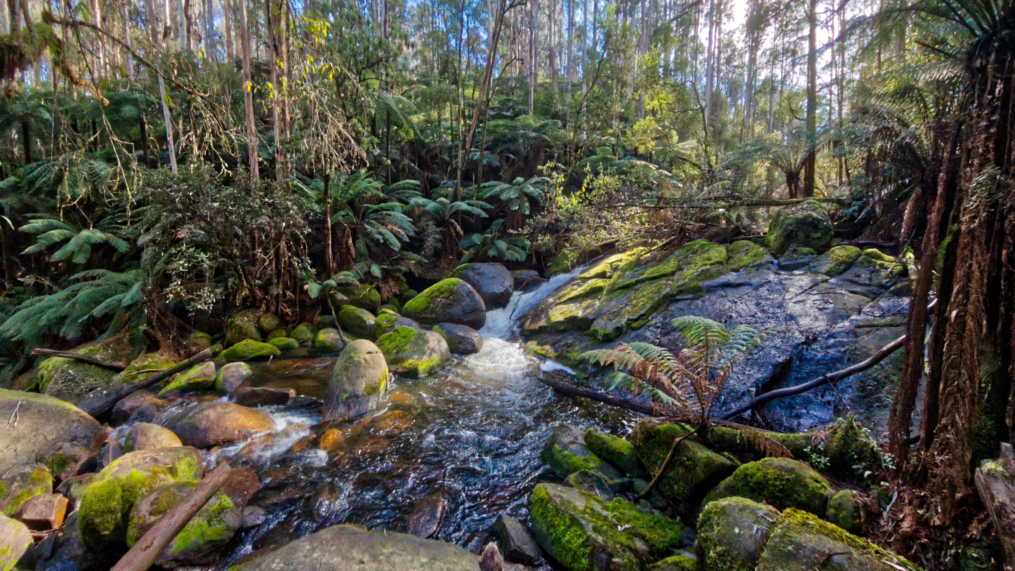 Toorongo Valley Waterfalls