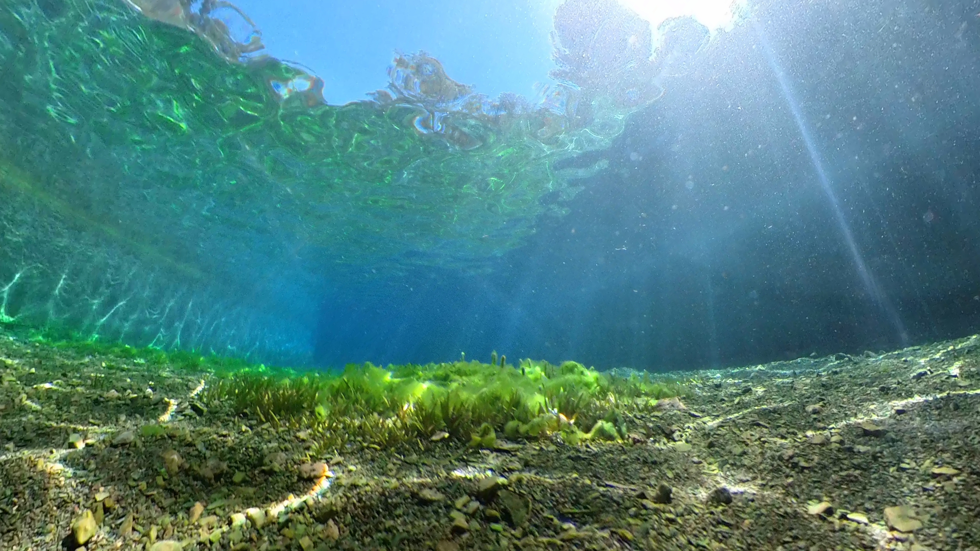 Yarrangobilly Caves Thermal Pool