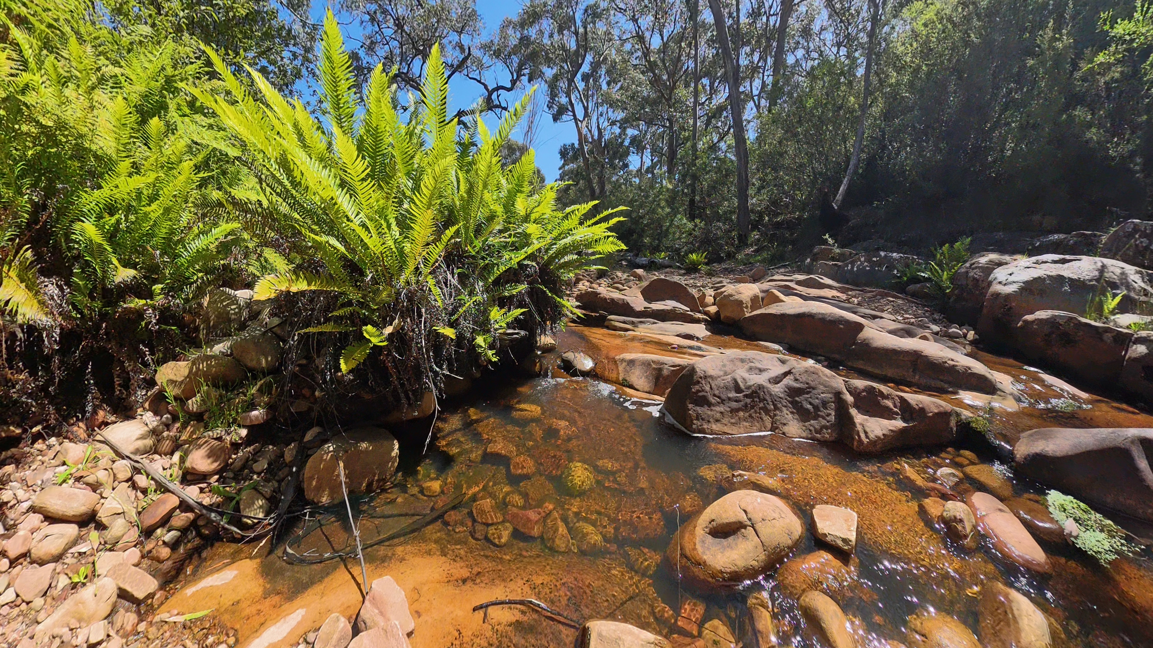 Fyans Creek - before the fires