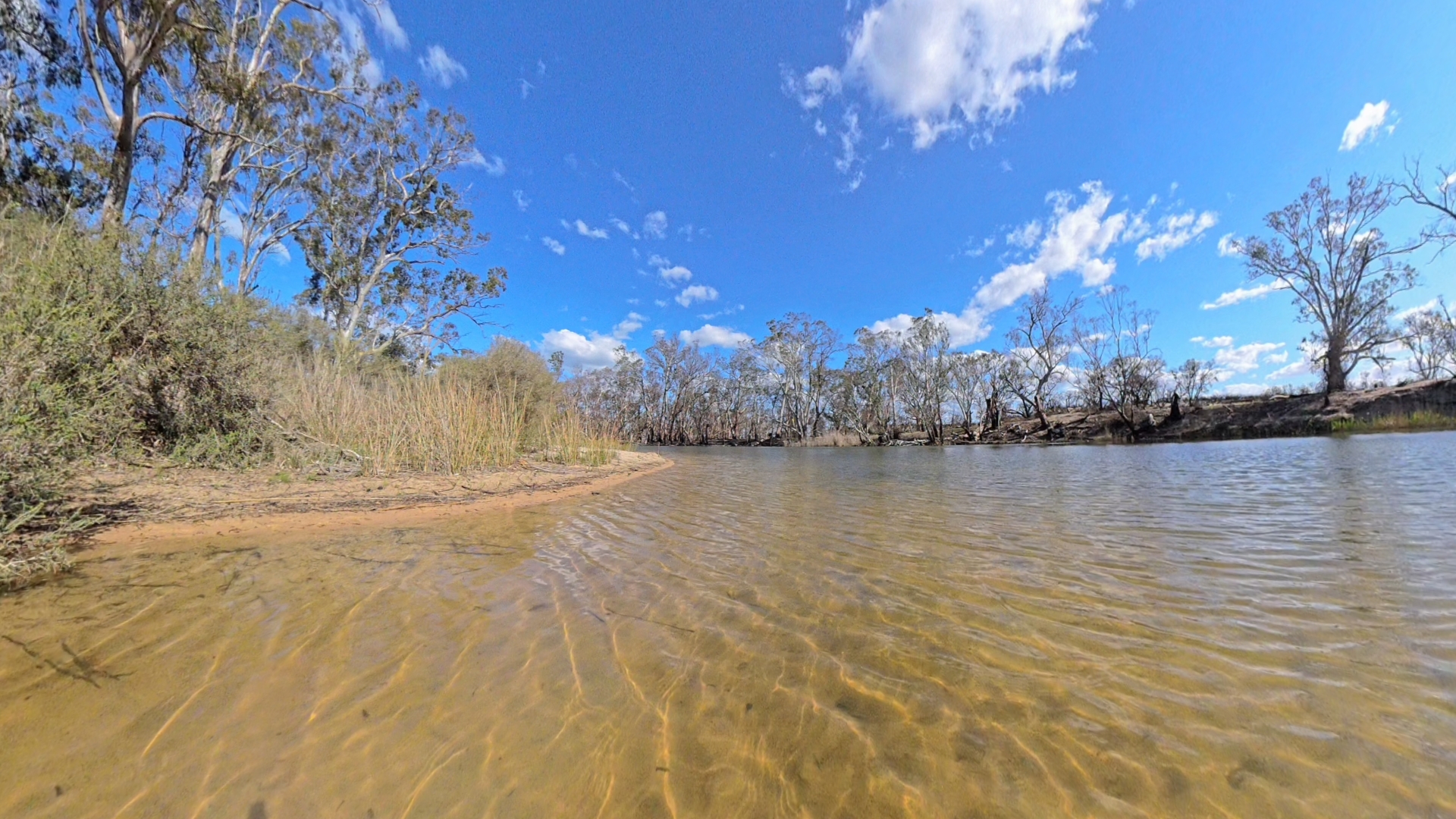 Wimmera River Near Ackle Bend