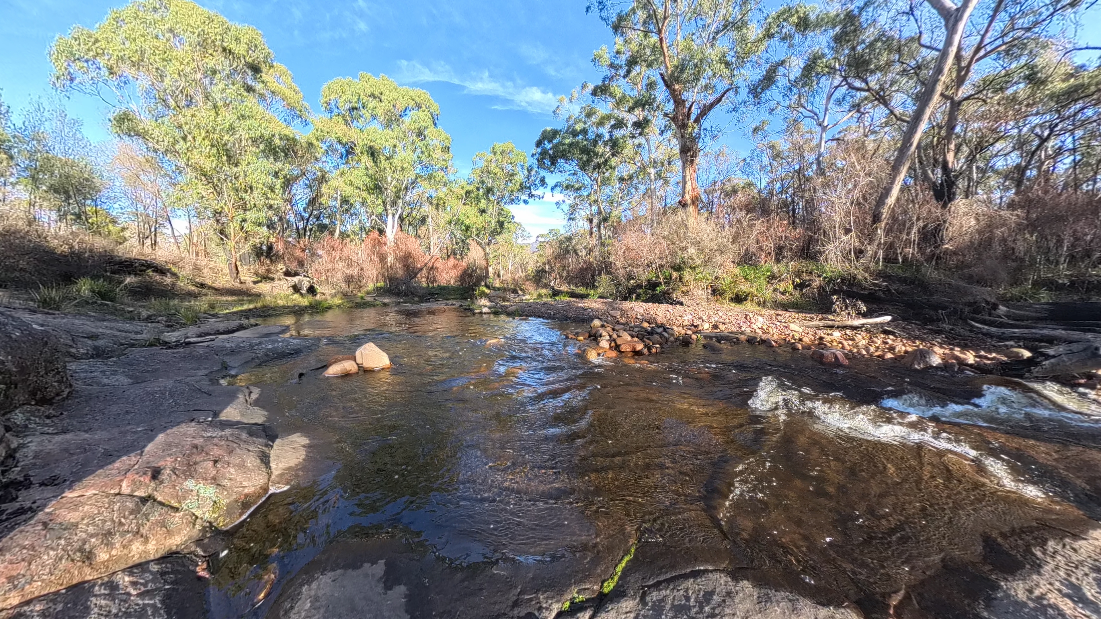 Fyans Creek - after the fires