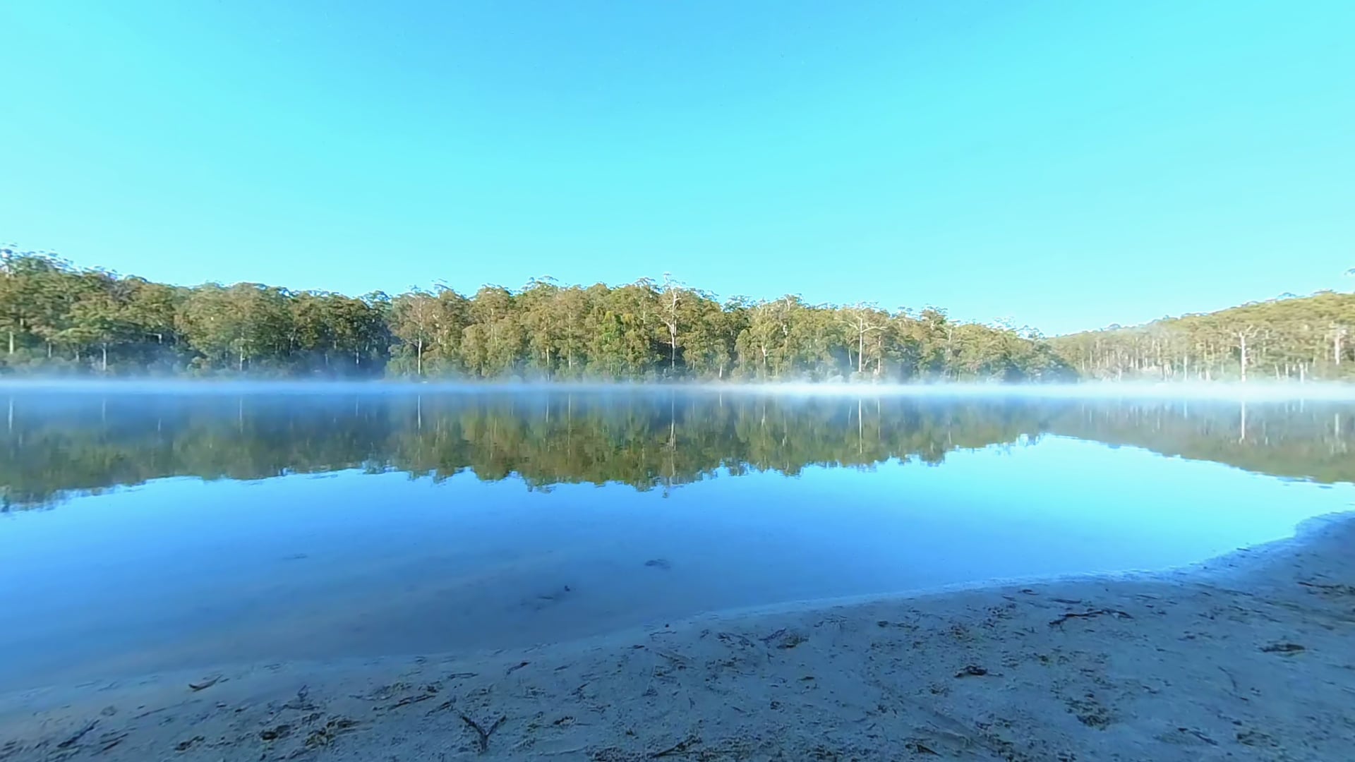 Morning birdsong at Big Brook Dam