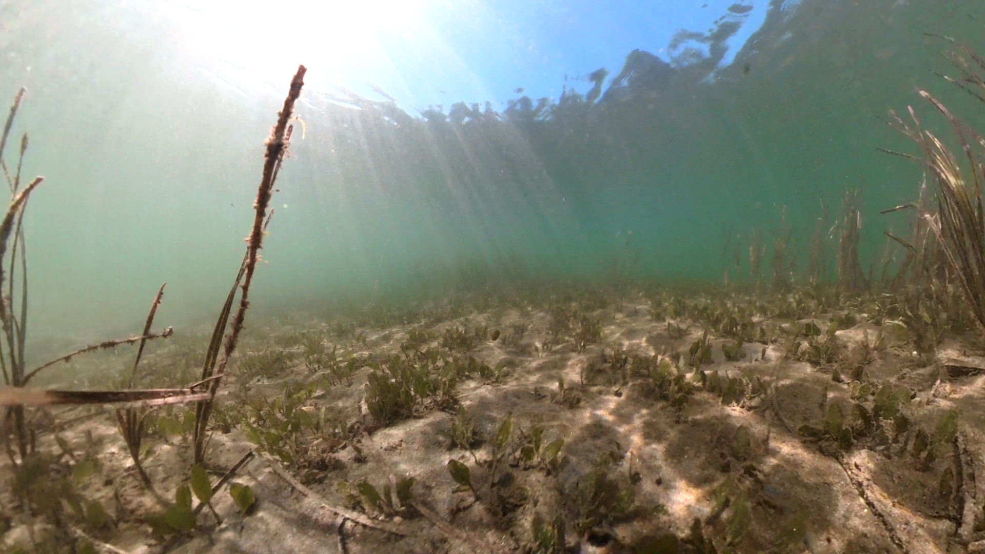 Bruce Steer Ocean Pool - 360