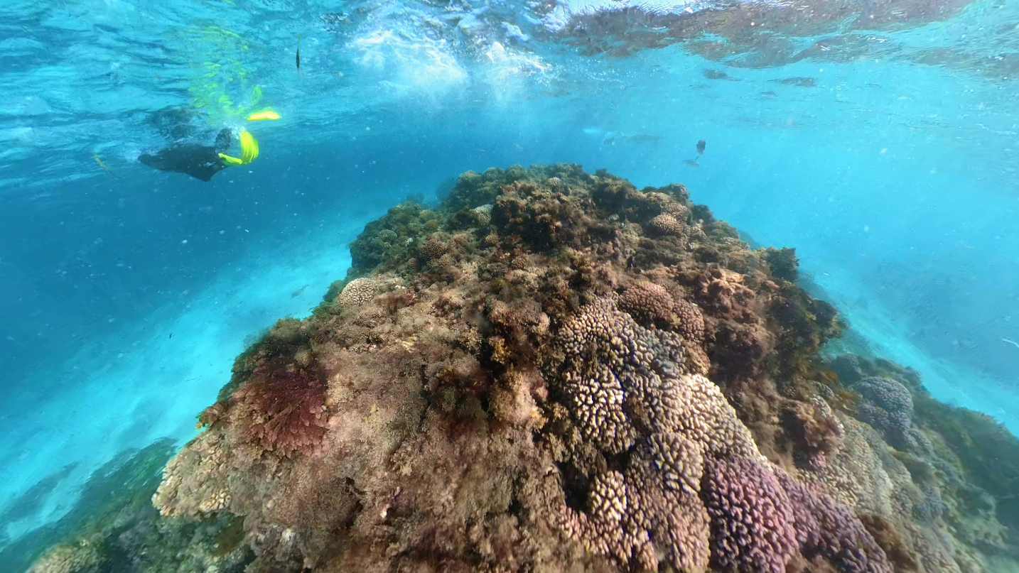 Little Salmon Bay - Rottnest Island