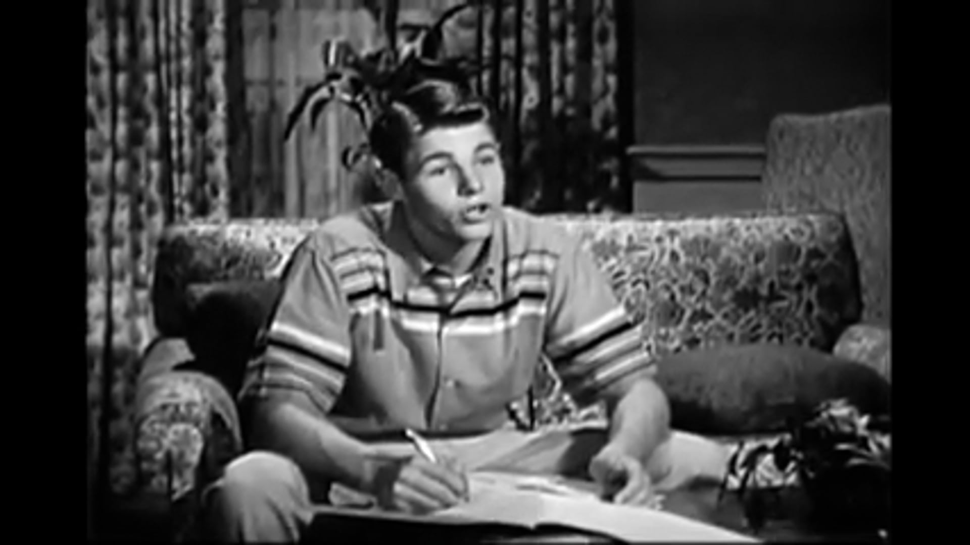 The Adventures Of Ozzie and Harriet The Fruitcake