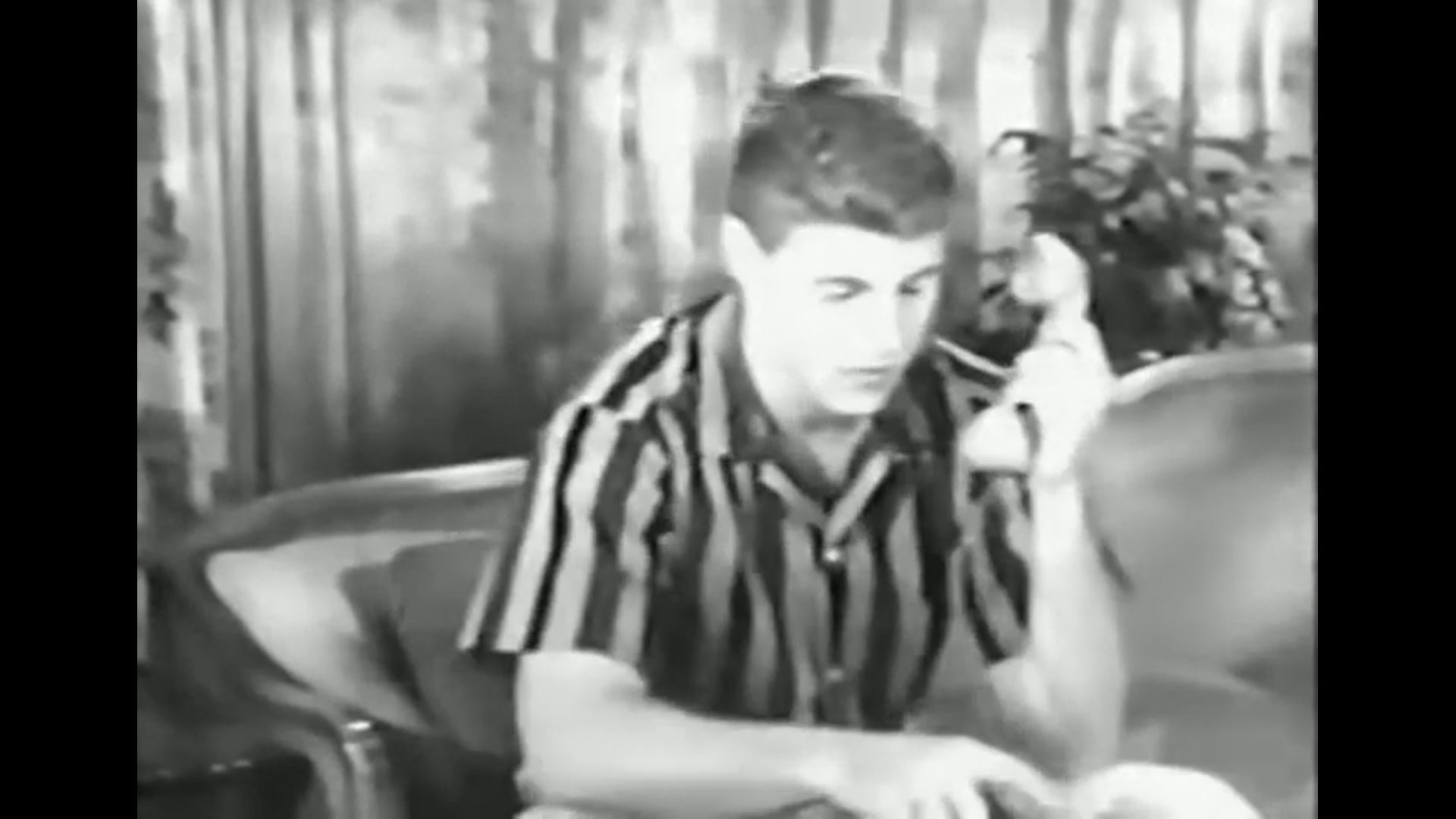 The Adventures Of Ozzie and Harriet David and the Stewardess