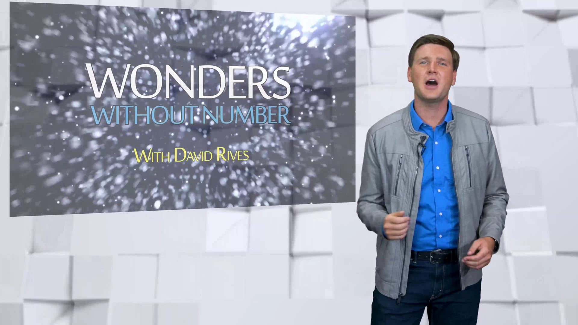 Wonders Without Number Vestigal Organs From 100 To None