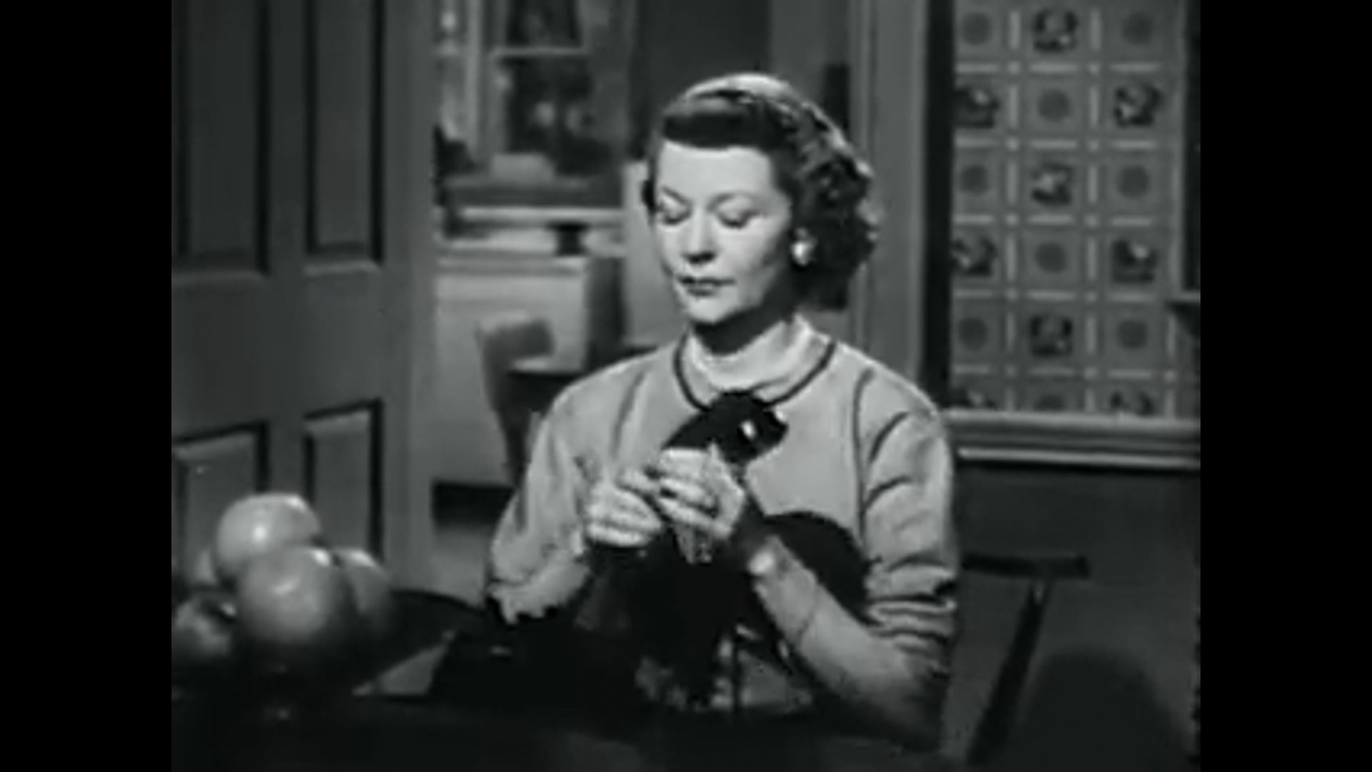 The Adventures Of Ozzie and Harriet Pancake Mix