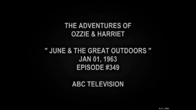 The Adventures Of Ozzie and Harriet J...