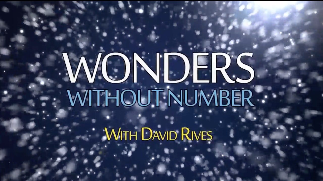 Wonders Without Number