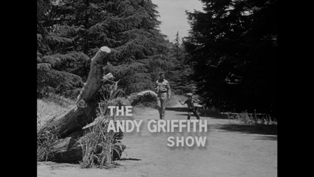 The Andy Griffith Show Aunt Bees Medicine Man