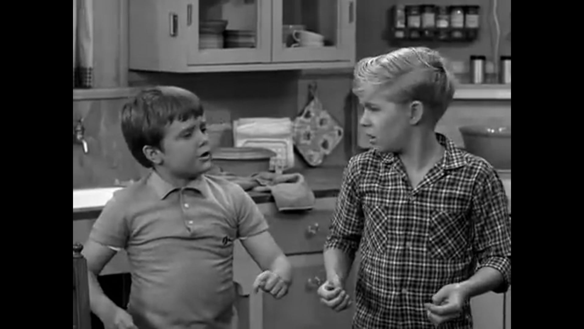 The Lucy Show Lucy and Viv Put In A Shower