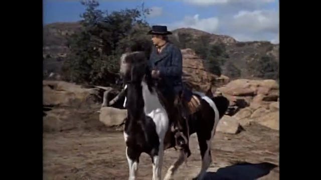 Bonanza Escape to Ponderosa