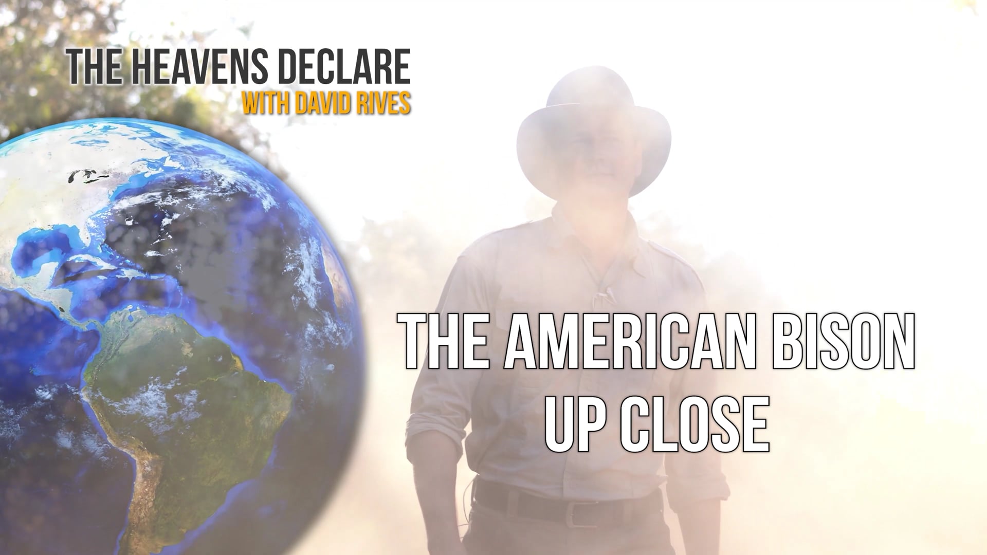 The Heavens Declare The American Bison