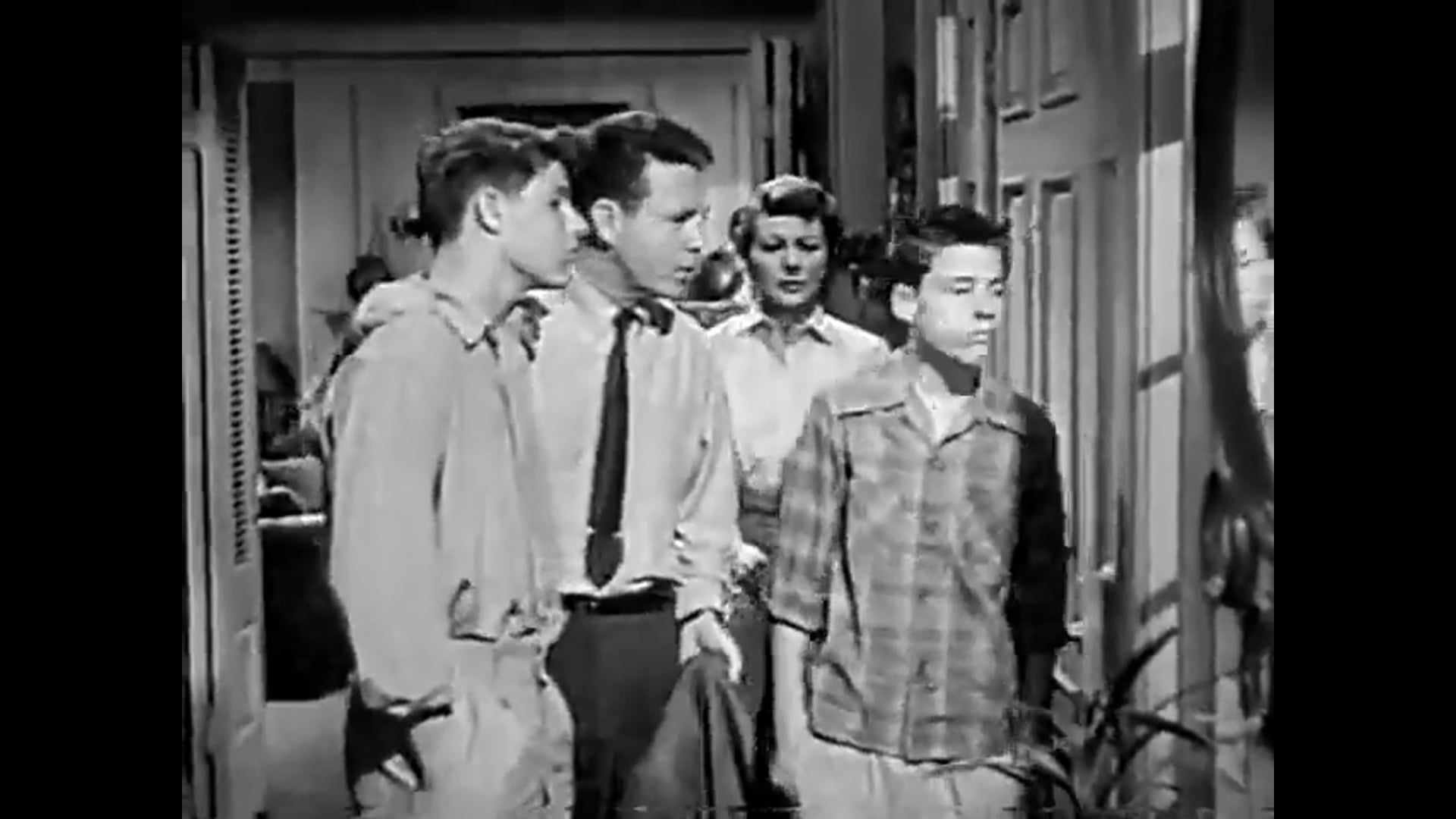 The Adventures Of Ozzie and Harriet New Neighbor