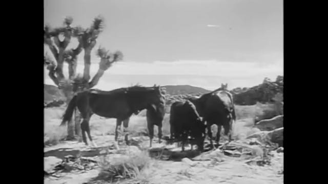 The Range Rider Cherokee Round-Up