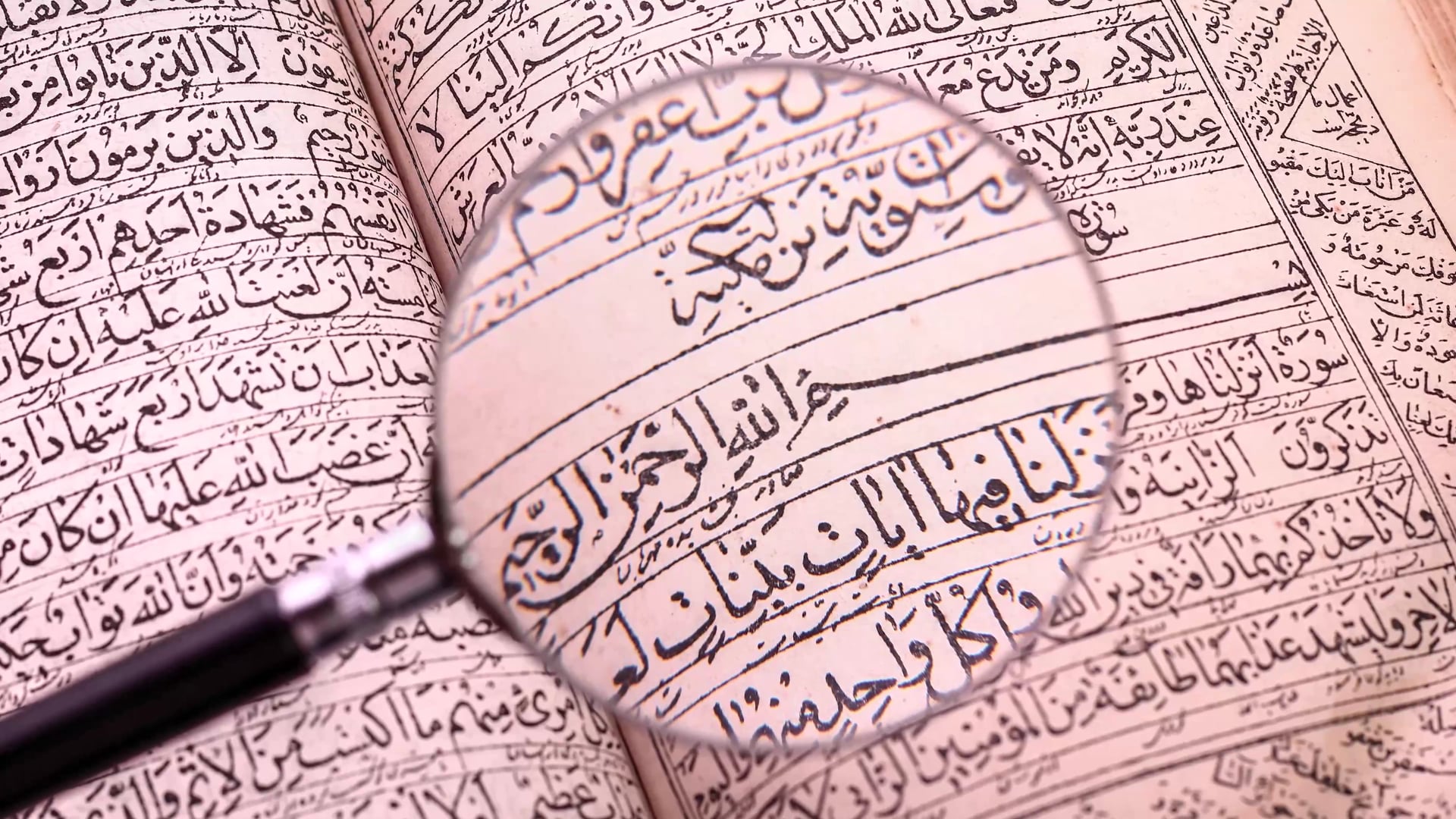 Wonders Without Number Scientific Evidence for the Inspiration of the Bible