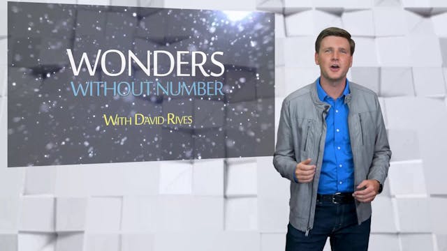 Wonders Without Number Assumptions Ra...