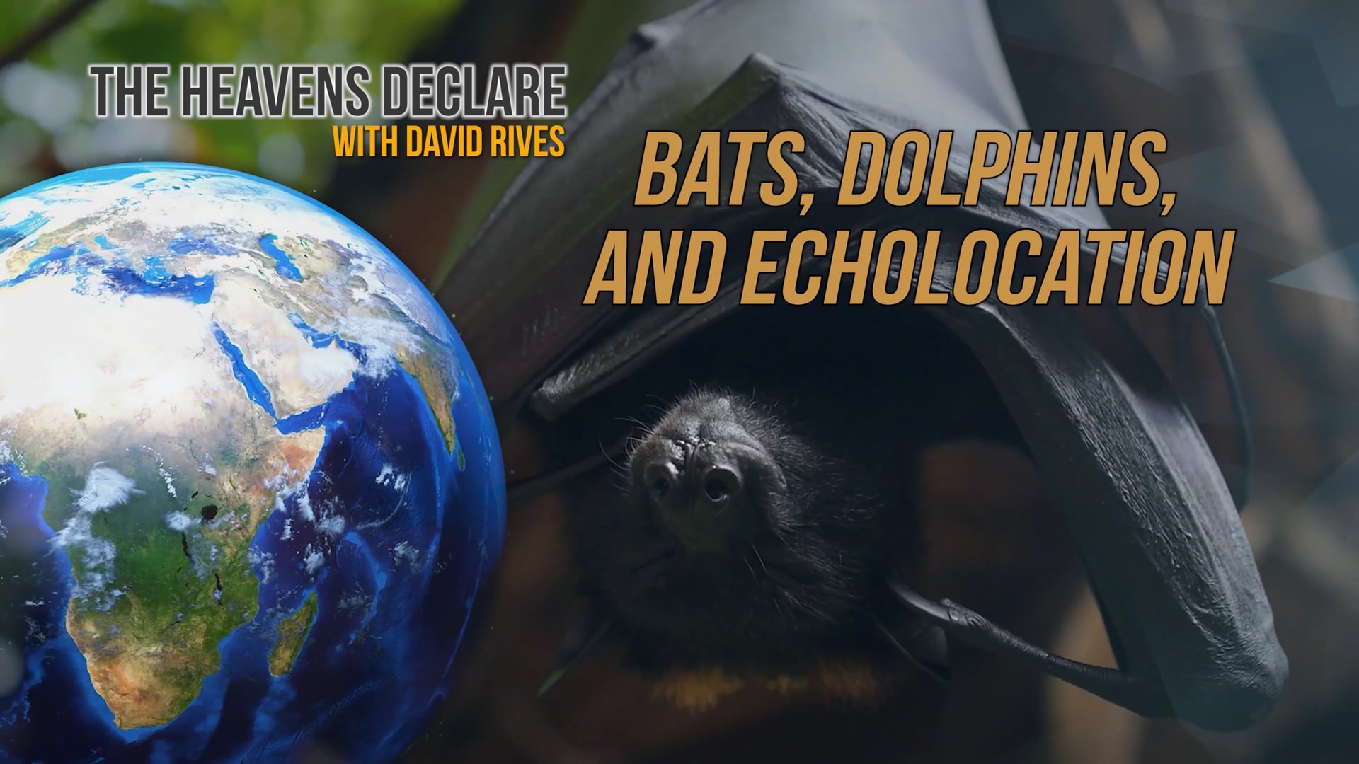 The Heavens Declare Echolocation