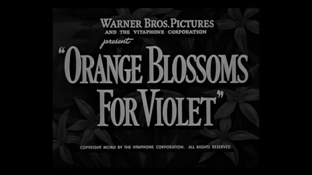 Orange Blossoms For Violet