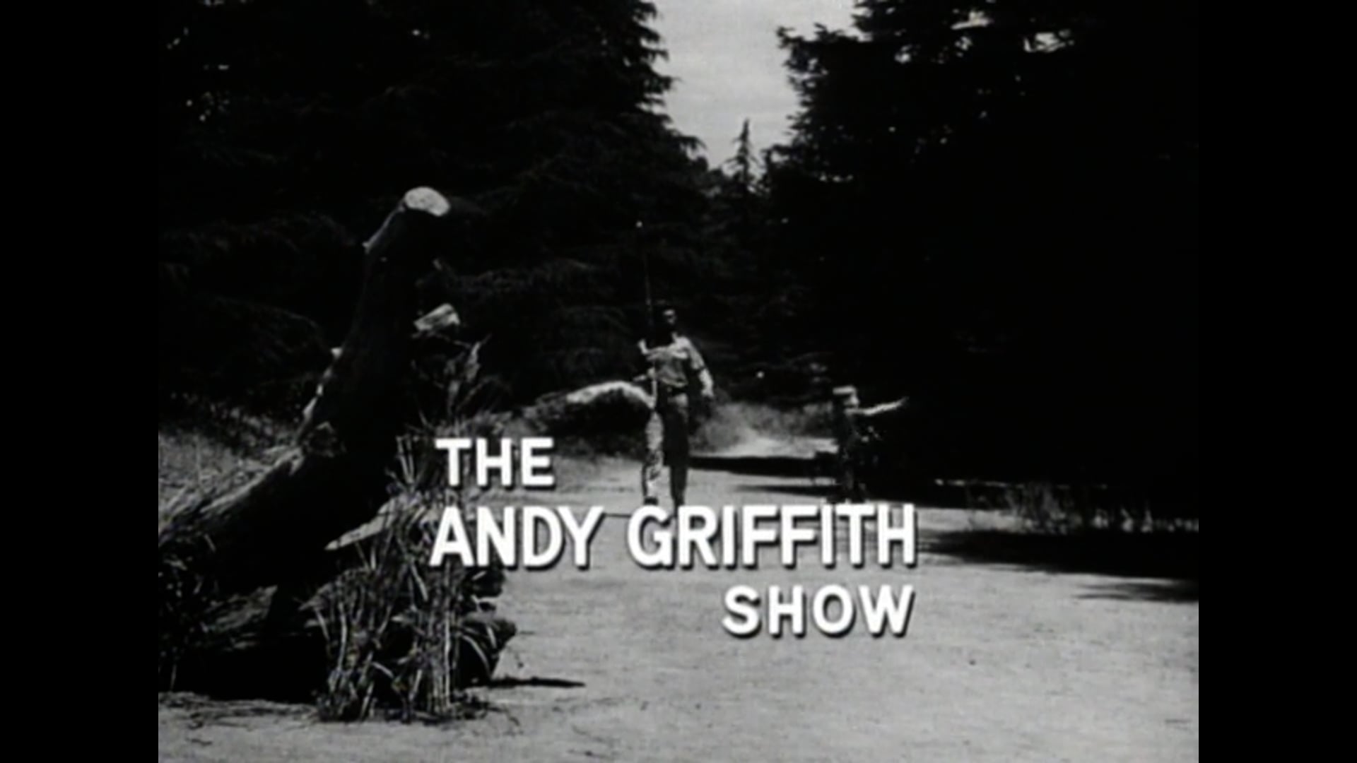 The Andy Griffith Show The Darlings Are Coming