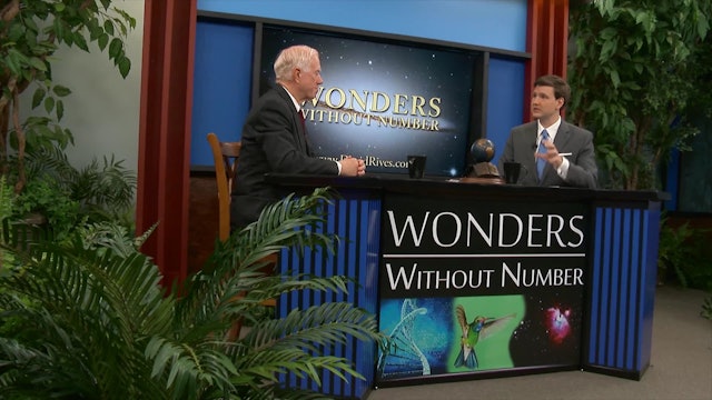 Wonders Without Numbers Population, The Flood, and More