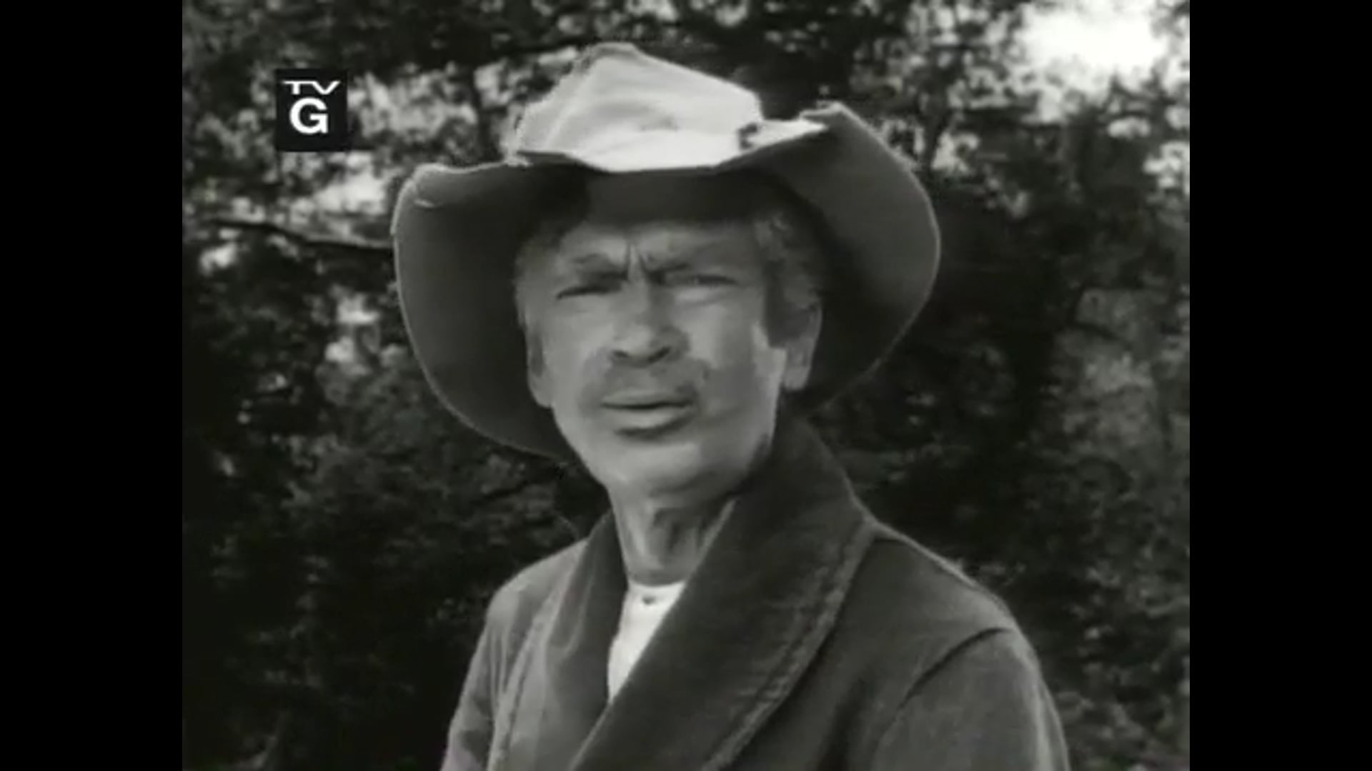 Beverly Hillbillies Hair-Raising Holiday