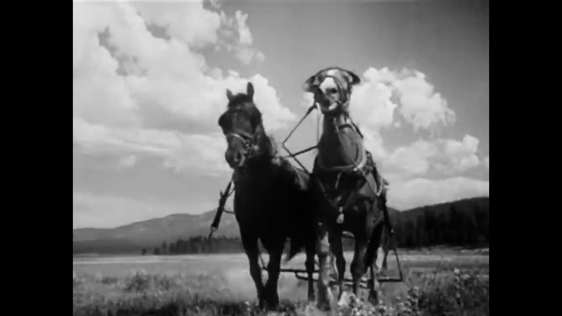 Hawkeye And The Last Of The Mohicans The Coward