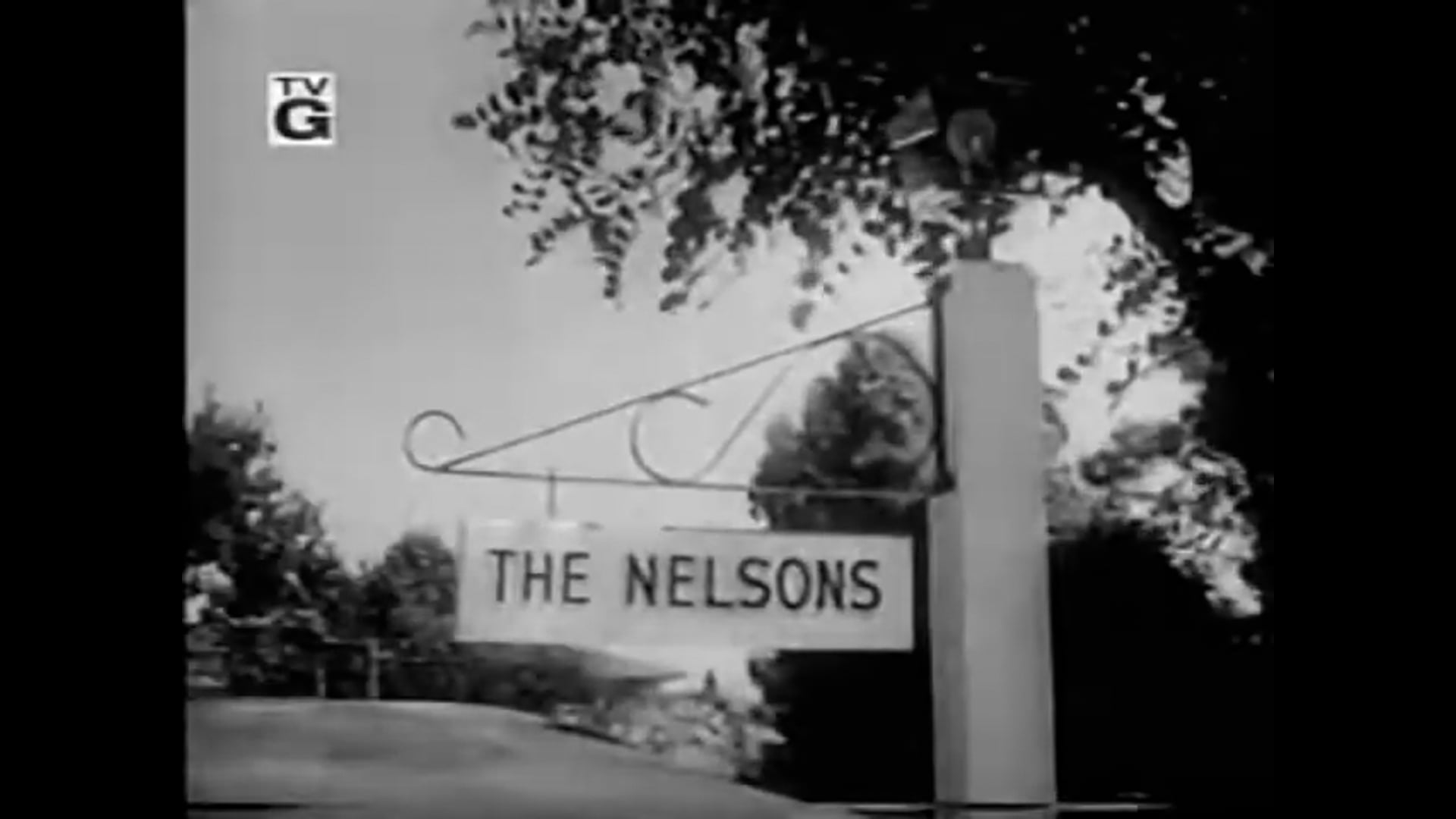 The Adventures Of Ozzie and Harriet David's Engagement