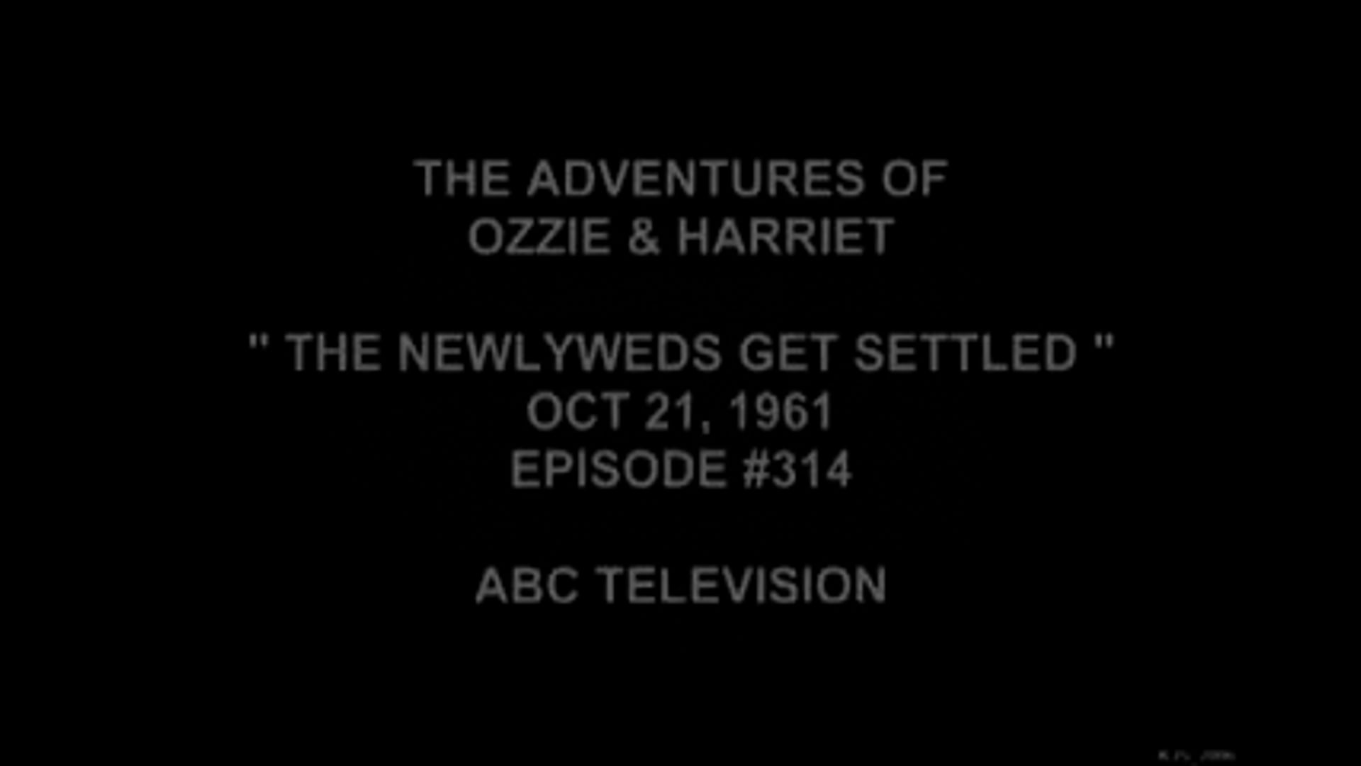 The Adventures Of Ozzie and Harriet The Newlyweds Get Settles