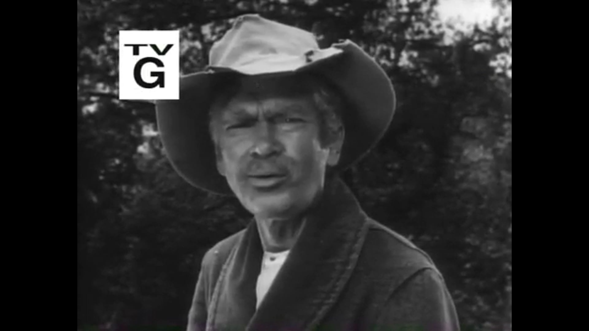 Beverly Hillbillies The Family Tree