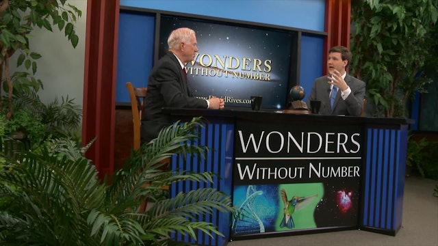 Wonders Without Numbers A Skeptical Look at Atheism