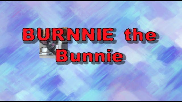 The Burnnie Show The Camping Adventure
