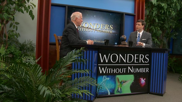 Wonders Without Numbers Dinosaurs Terrible Lizards of the Bible