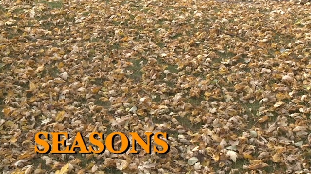 Seasons Challenges