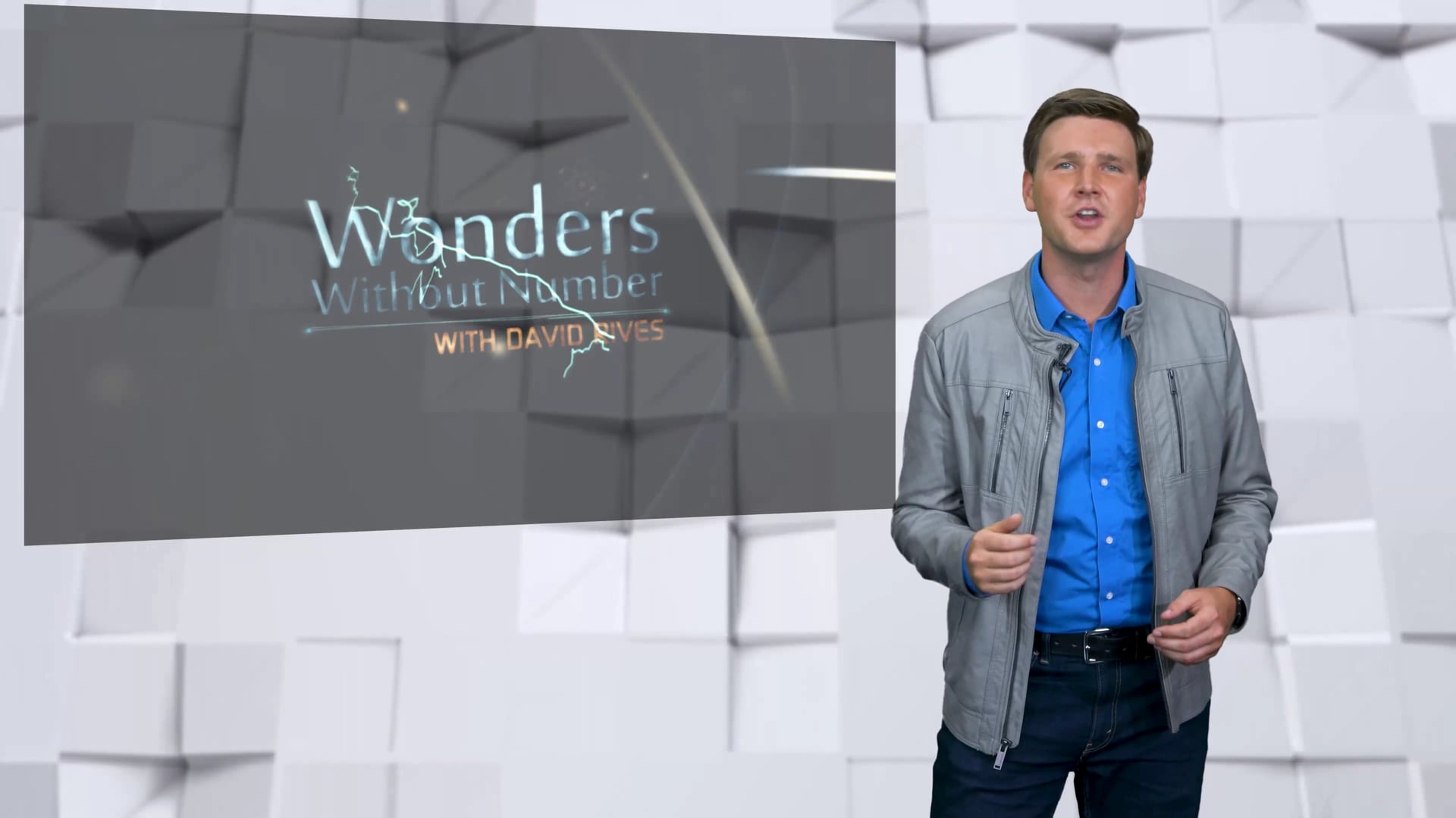 Wonders Without Numbers Turtles Stasis Explained