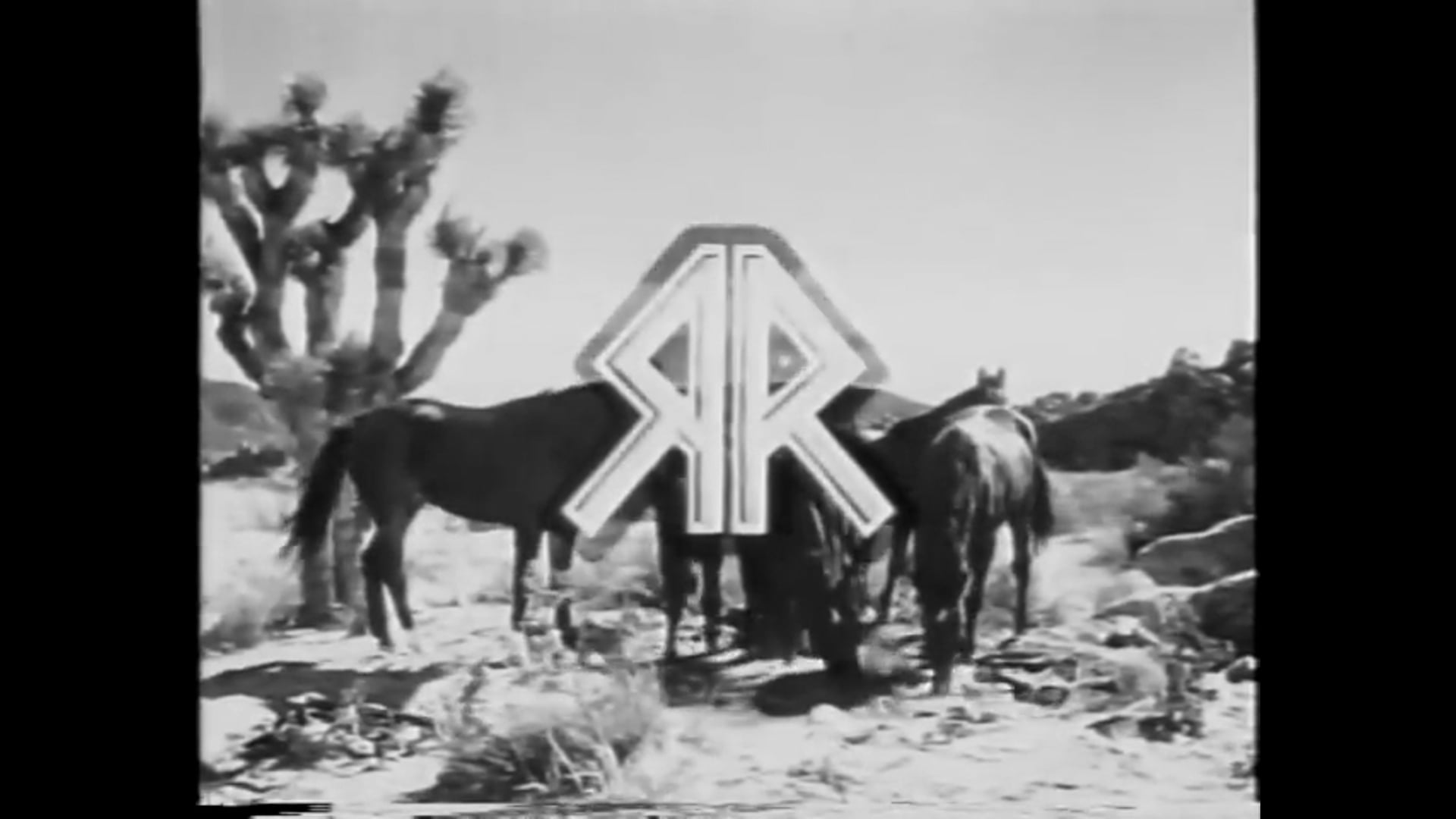 The Range Rider The Holy Terror