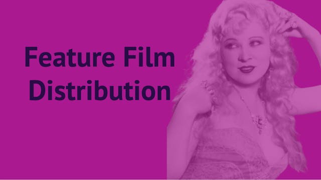 Feature Film Distribution