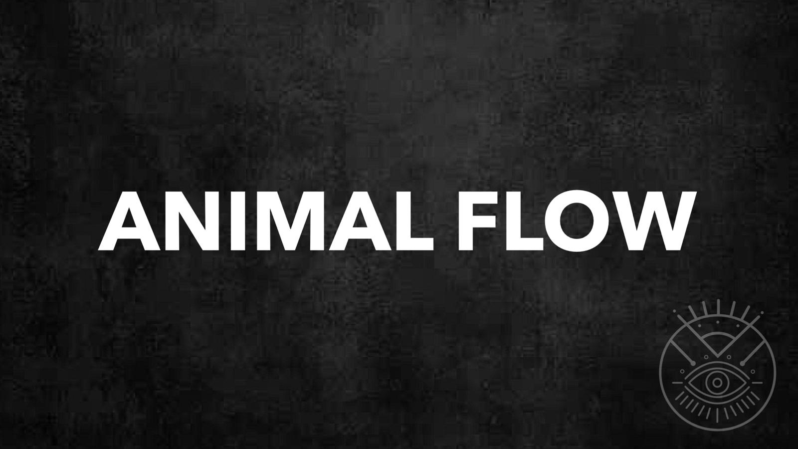 Animal Flow