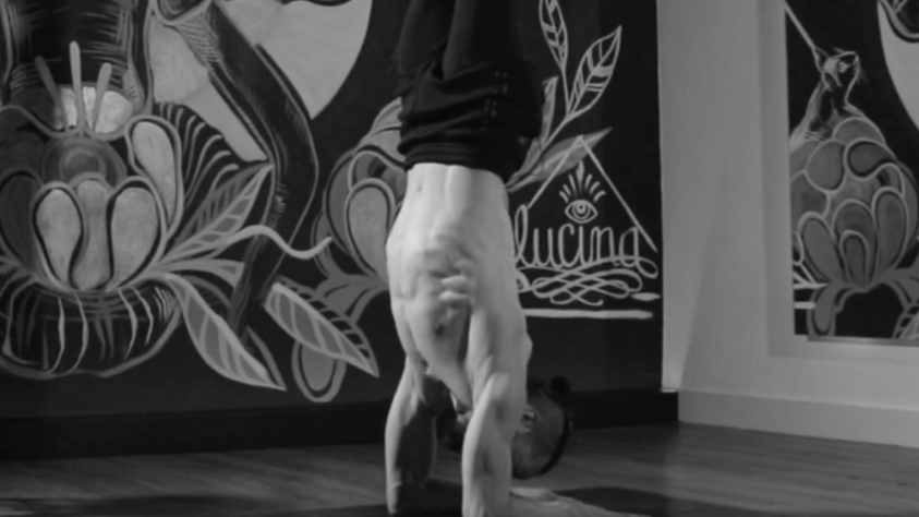 MOVEMENT BREAKDOWN - Pluma del Pavorreal pt.1 (Pincha mayurasana)