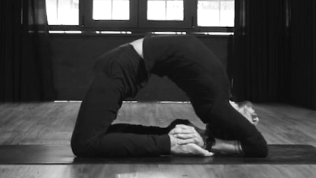 MOVEMENT BREAKDOWN - Paloma (Kapotasana)