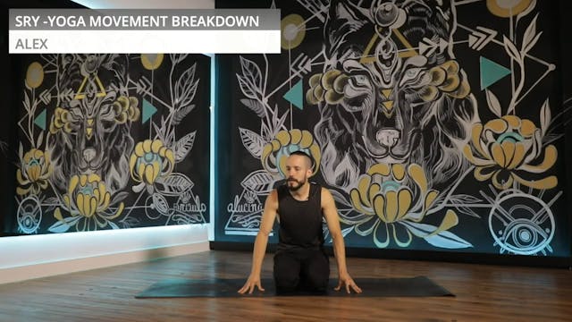 MOVEMENT BREAKDOWN: The mighty chatur...